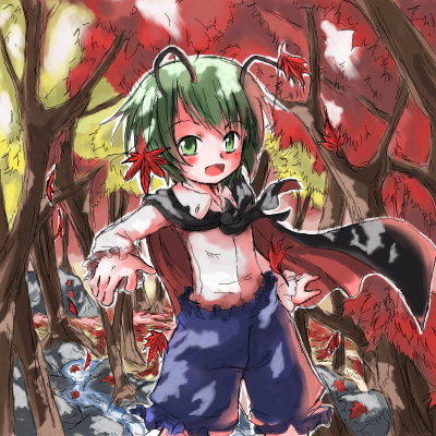 tohov_000548.png  ( 655 KB / 800 x 800 pixels ) by �����y�C���^�[�v����