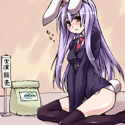 tohov_001997.png  ( 140 KB / 500 x 500 pixels ) by �����y�C���^�[�ʏ��