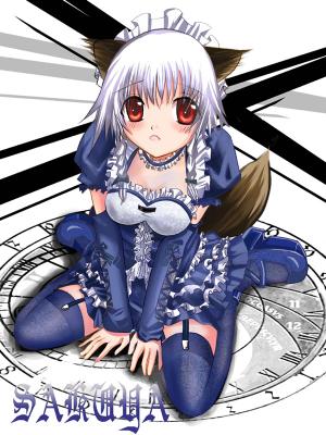 1160666585720.jpg (365844 B)